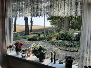 Zahrada ubytování Hoeve de Laan