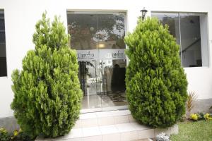 Giardino di El Tambo 1