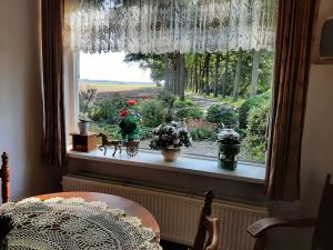 Zahrada ubytování Hoeve de Laan