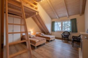 a bedroom with two bunk beds and a ladder at Herrenhaus Jürgenshof - Ferienhaus in Alt Schwerin