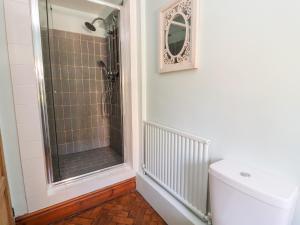 une salle de bain avec douche, toilettes et miroir dans l'établissement Abbey Cottage, à Denbigh 43 autres photos