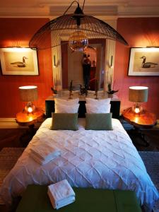 卡塞勒的住宿－JARDIN D'HIVER CASSEL，一间卧室配有一张大床和两盏灯。
