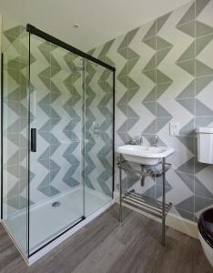 a bathroom with a shower and a sink at The Cabin in Haverfordwest