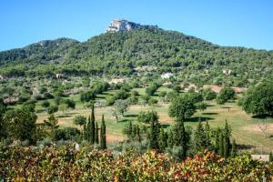 Fotografia z galérie ubytovania Es Castell de Ca n'Alou de Ses Cases Noves v destinácii S'Horta