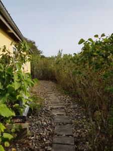 Beachhouse Langeland 20 m to private Beach外面的花园