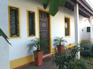 a house with potted plants in front of it at Casa dos Pingos de Mel in Aveiro