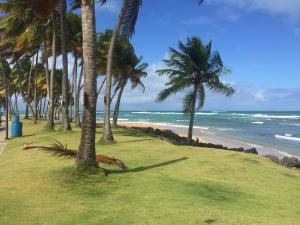 Gallery image of Blue Leaf by the Sea in Luquillo