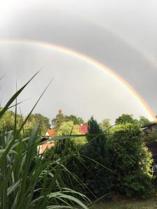 Fotografie z fotogalerie ubytování Ferienhaus Ahornallee v destinaci Wendisch Rietz
