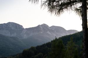 Príroda v okolí apartmánu