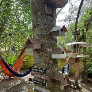 un árbol con una hamaca y pajareras. en Pousada Fazendinha Tatuira, en Imbé