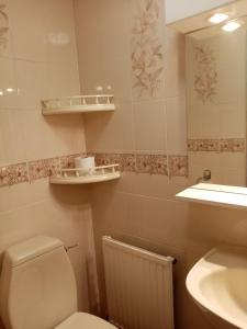 een badkamer met een toilet, een wastafel en een spiegel bij The Laurels Guest House in Blairgowrie