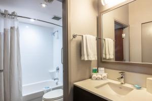 a bathroom with a sink and a toilet and a mirror at Holiday Inn Express & Suites Riverport Richmond, an IHG Hotel in Richmond