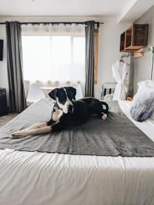 Postel nebo postele na pokoji v ubytování Adrift Hotel