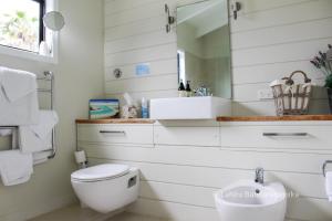 uma casa de banho com um WC, um lavatório e um espelho. em Le Chalet Waiheke Apartments em Ostend