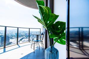a blue vase with a plant in a room with windows at AirTrip Apartments at South Brisbane in Brisbane