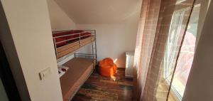 a small room with a bunk bed and a window at Green Nest in Băneşti +32 photos