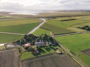 an aerial view of a field with a river at FEWO auf dem Lande / nahe SPO in Tümlauer Koog