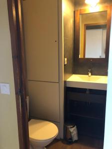 W łazience znajduje się toaleta, umywalka i lustro. w obiekcie Studio 941-Particulier-Résidence L'Ours Blanc-Alpe d'Huez-Centre Station w LʼAlpe-dʼHuez