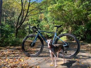 Ciclismo en hanare o alrededores