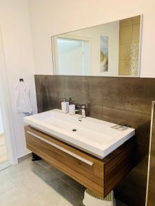 ein Bad mit einem Waschbecken und einem Spiegel in der Unterkunft Apartment Am Kupferhammer in Pforzheim