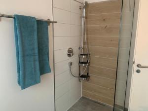 een badkamer met een douche en een glazen deur bij Ferienwohnung Gartenstadt in Flensburg
