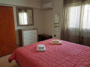 Postel nebo postele na pokoji v ubytování Dimitris House Petriti