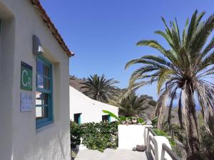 a white building with palm trees in the background at Casa Aloha in Hermigua