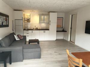 a living room with a couch and a kitchen at Emda Country living close to Legoland in Billund