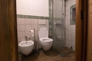 La salle de bains est pourvue de toilettes et d'une douche en verre. dans l'établissement Chalet Mountain Relax - CIR 0001, à Rhêmes-Notre-Dame