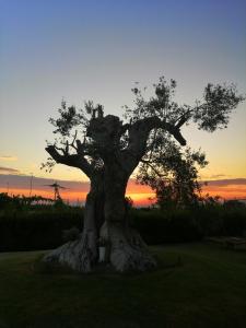 Východ nebo západ slunce při pohledu z bed and breakfast nebo okolí