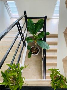 Gallery image of TEAK VILLA in Bangna