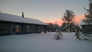 Lapin Lumilomat durante l'inverno