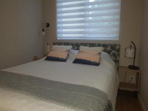 een bed met twee kussens in een slaapkamer bij F2 L'escale Paisible - Villepinte Aéroport CDG - Parc Astérix - Paris in Mitry-Mory