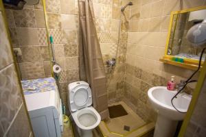 ein kleines Bad mit WC und Waschbecken in der Unterkunft downtown apartment near Sulfur baths in Tbilisi City