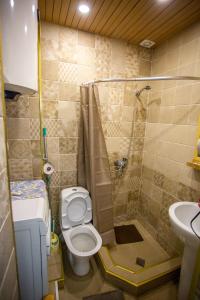 ein Bad mit einer Dusche, einem WC und einem Waschbecken in der Unterkunft downtown apartment near Sulfur baths in Tbilisi City