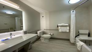 uma casa de banho com um lavatório, um WC e um espelho. em Holiday Inn Express Hotel & Suites Somerset Central, an IHG Hotel em Somerset