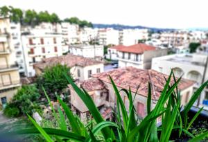 Výhľad na mesto Sparti alebo výhľad na mesto priamo z apartmánu