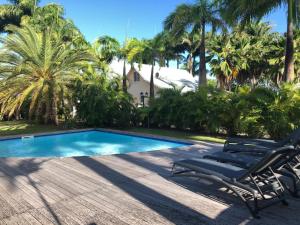 a swimming pool with two lounge chairs and palm trees at Villa Laurencin in Sainte-Rose