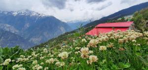 Galeriebild der Unterkunft Mountain Rover Auli Resort in Jyotirmath