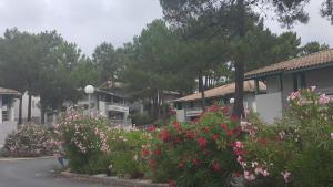 Κήπος έξω από το Appartement à deux pas de l ocean