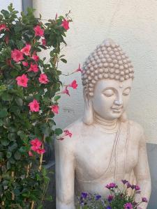 和谐之家外面的花园