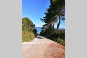 a dirt road with trees and the ocean in the background at Villa bord de mer avec piscine et jacuzzi in Pénestin