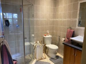 a bathroom with a shower and a toilet and a sink at Perhethian in Cape Town