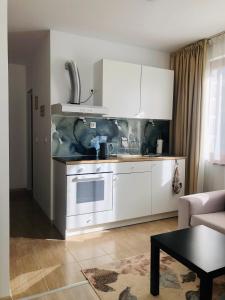 Kuchyň nebo kuchyňský kout v ubytování Temerso Studio-Apartment