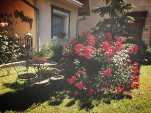 Vonkajšia záhrada v ubytovaní Hotel Zéta