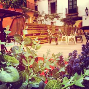 A garden outside Toc Hostel Sevilla