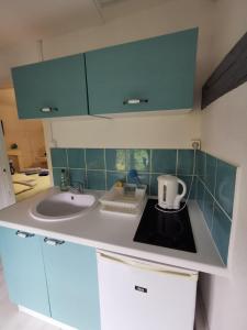 a small kitchen with a sink and a counter at Les Cieux de la Cathédrale - Calme - Jardin - Wifi in Troyes