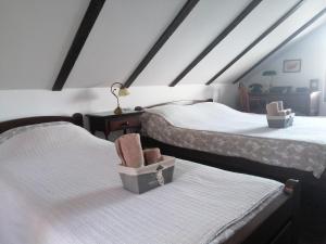 2 Betten in einem Dachzimmer mit Boxen drauf in der Unterkunft Carobni breg in Golubac
