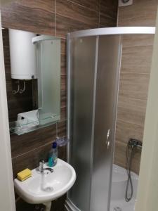 a bathroom with a shower and a sink at STAN na DAN PEX FREE PARKING in Vranje +27 photos