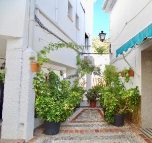 Vacation Home Casa Zenaida, Borge, Spain - Booking.com